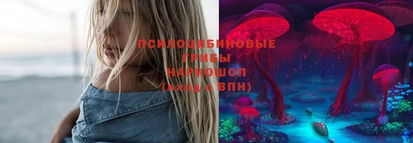 стафф Абдулино