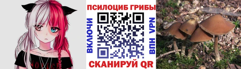 Галлюциногенные грибы GOLDEN TEACHER  mega как войти  Томари 